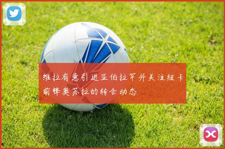 维拉有意引进亚伯拉罕并关注纽卡前锋奥苏拉的转会动态