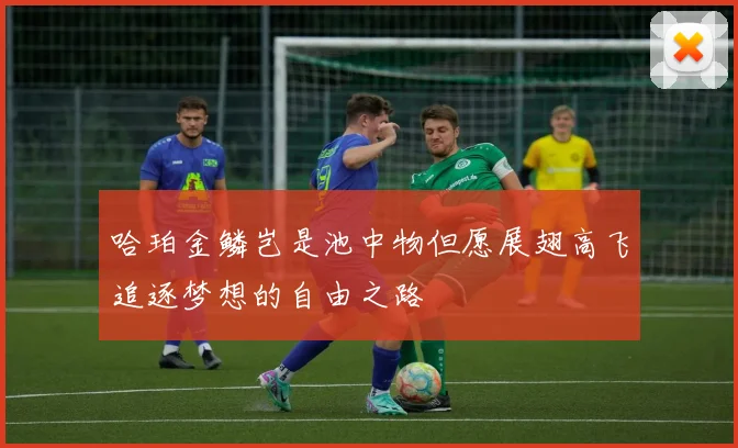 哈珀金鳞岂是池中物但愿展翅高飞追逐梦想的自由之路