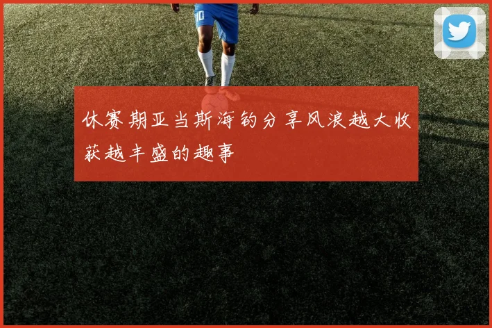休赛期亚当斯海钓分享风浪越大收获越丰盛的趣事